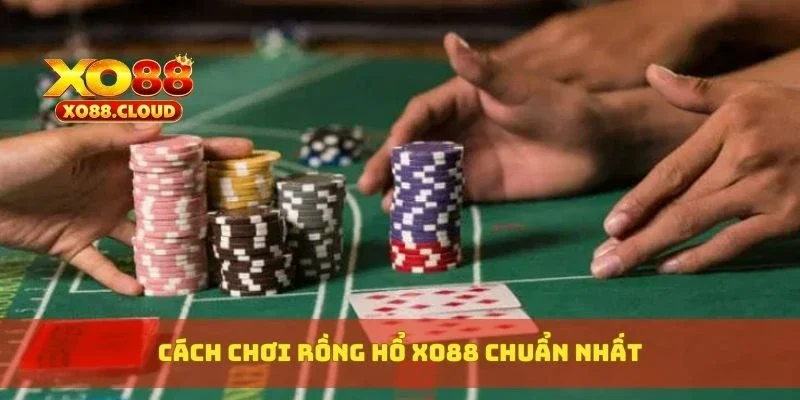 Rồng Hổ Xo88 Là Gì? Cách Chơi Và Mẹo Thắng Cực Kỳ Hiệu Quả 3 Cách chơi rồng hổ XO88 chuẩn nhất